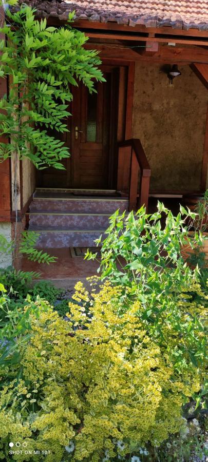 Ruralna Kuca Za Odmor Pozojova Hiza - Rural Holiday House Lopatinec Exterior photo